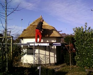 Tuinhuis met kap, wij zorgen voor het perfect rietdekken rieten dak Brabant Limburg